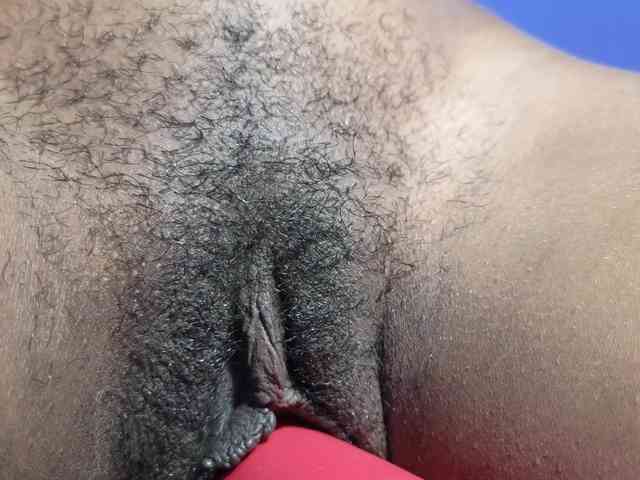 Mocha17 webcam