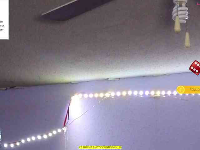 Mocha17 webcam