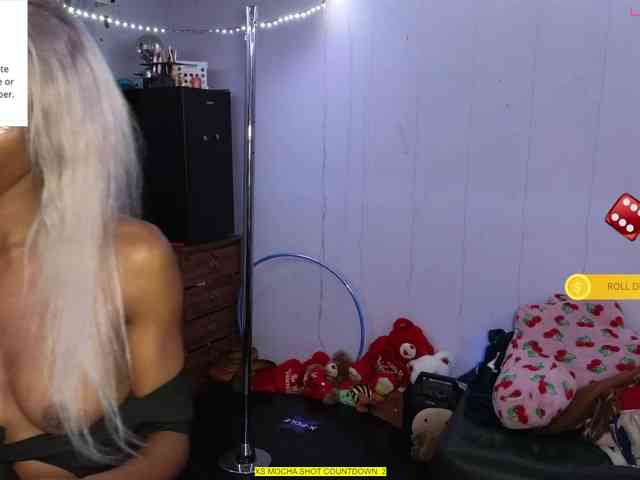 Mocha17 webcam