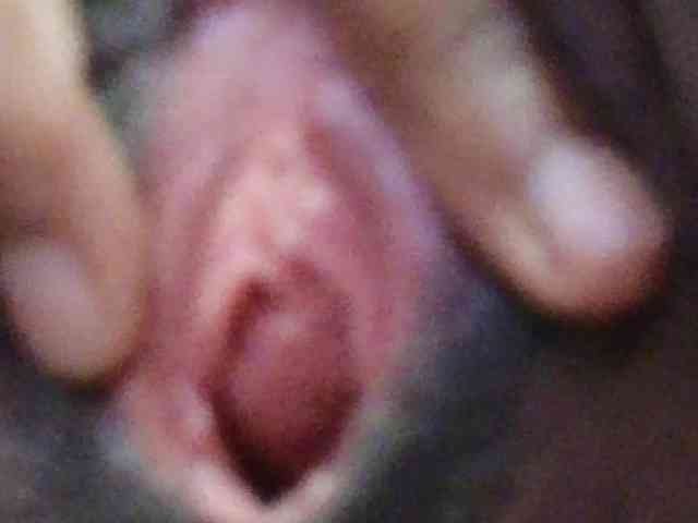 Mocha17 webcam