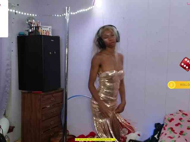 Mocha17 webcam