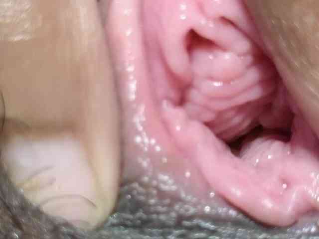 Mocha17 webcam