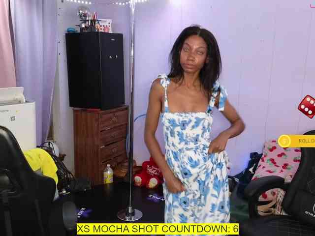 Mocha17 webcam