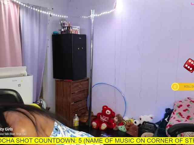 Mocha17 webcam