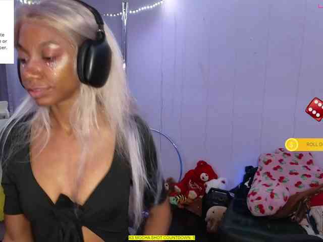 Mocha17 webcam