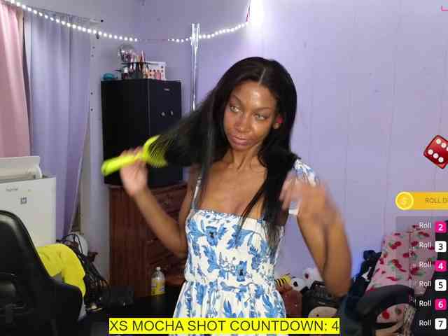 Mocha17 webcam