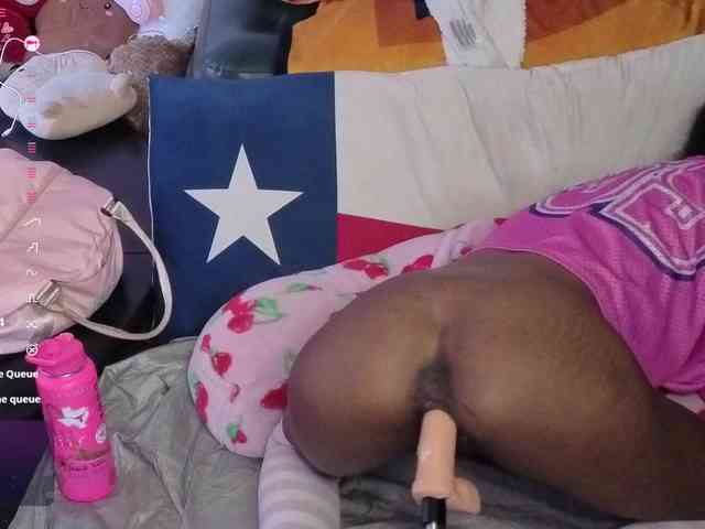 Mocha17 webcam