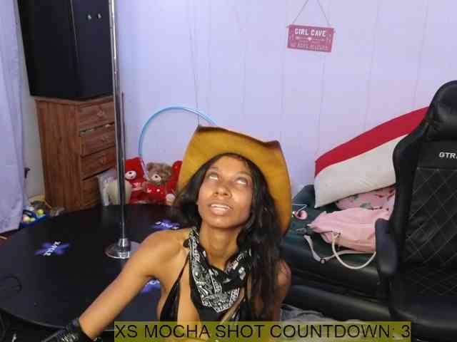 Mocha17 webcam