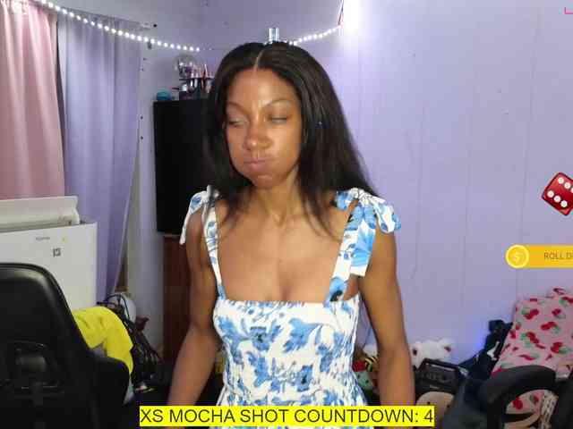 Mocha17 webcam