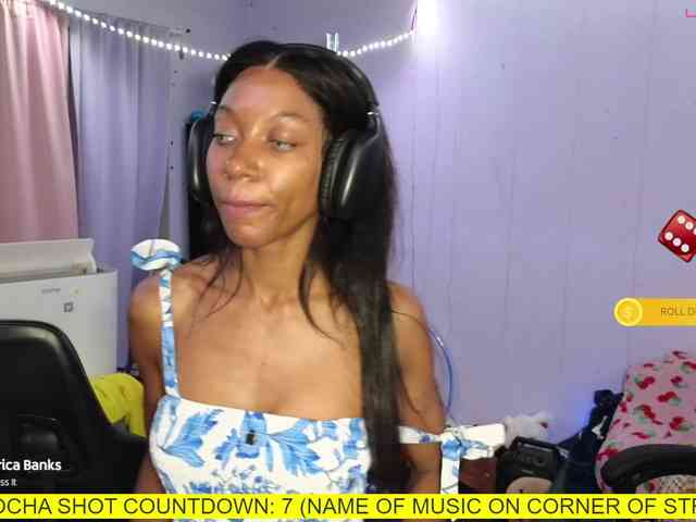 Mocha17 webcam