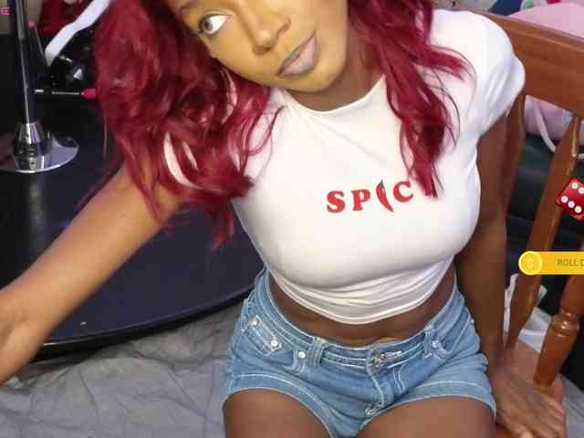 Mocha17 webcam