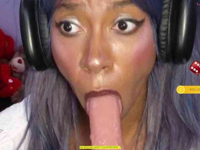 Mocha17 webcam