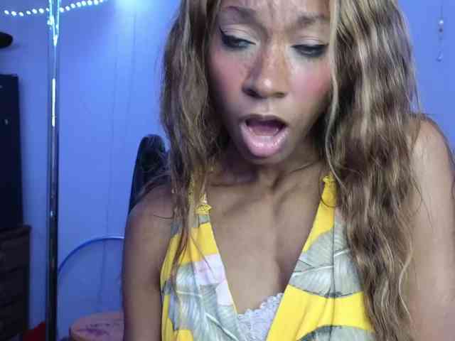 Mocha17 webcam