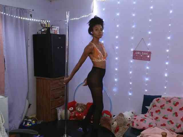 Mocha17 webcam