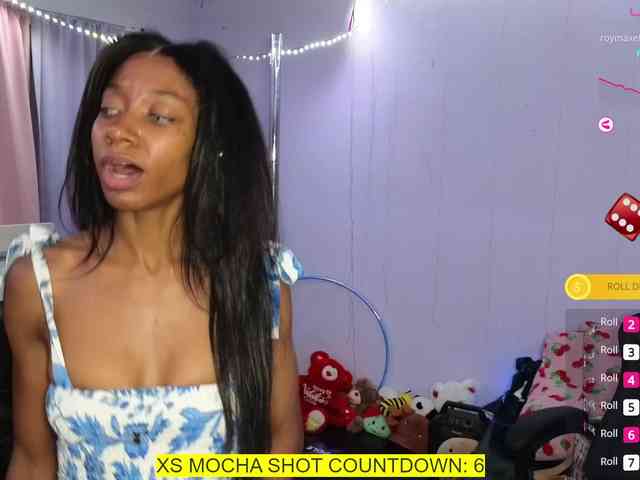 Mocha17 webcam