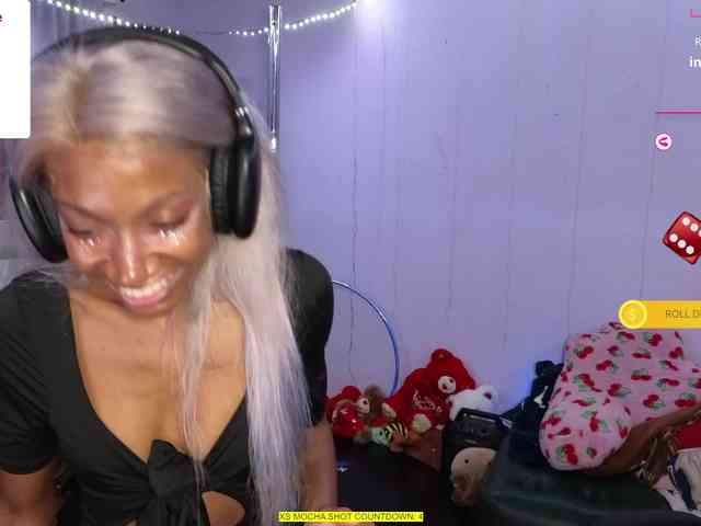 Mocha17 webcam