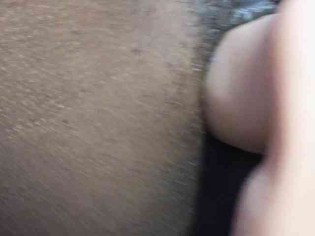 Mocha17 webcam