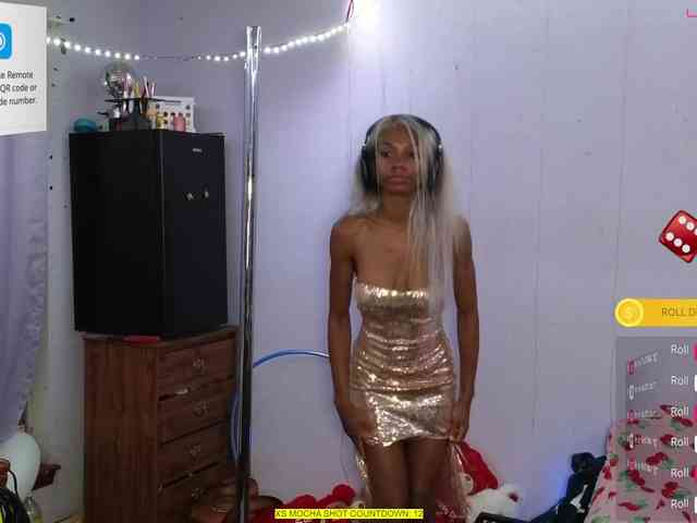 Mocha17 webcam