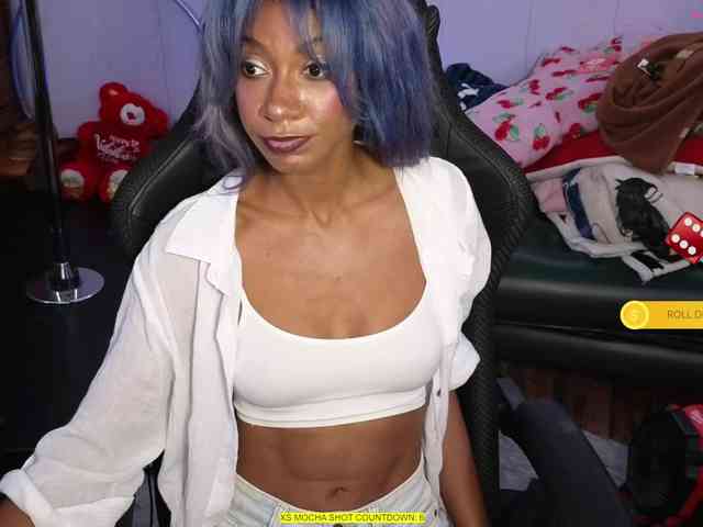 Mocha17 webcam