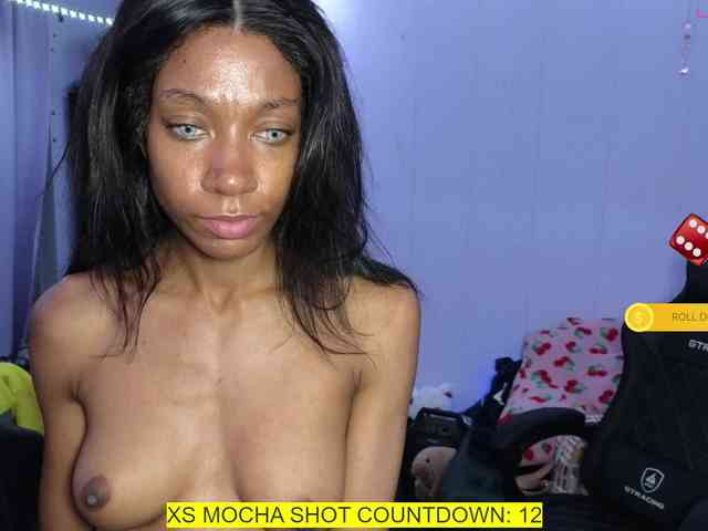 Mocha17 webcam