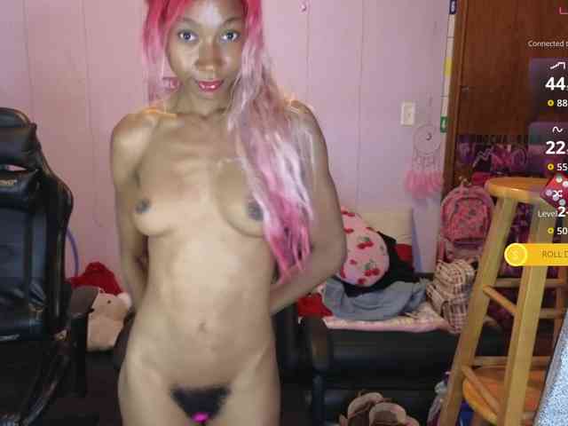 Mocha17 webcam
