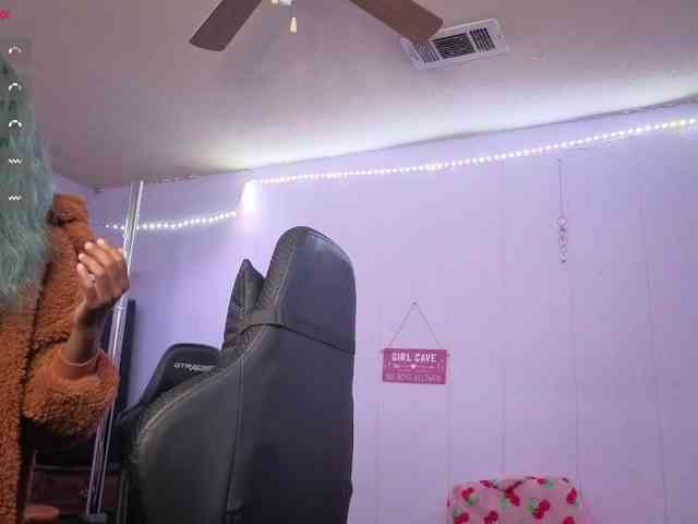 Mocha17 webcam