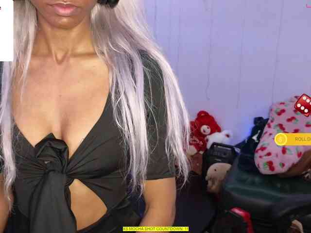 Mocha17 webcam