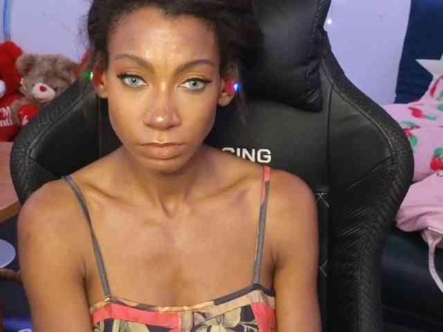 Mocha17 webcam