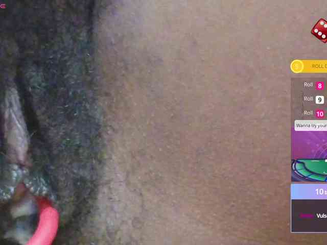 Mocha17 webcam