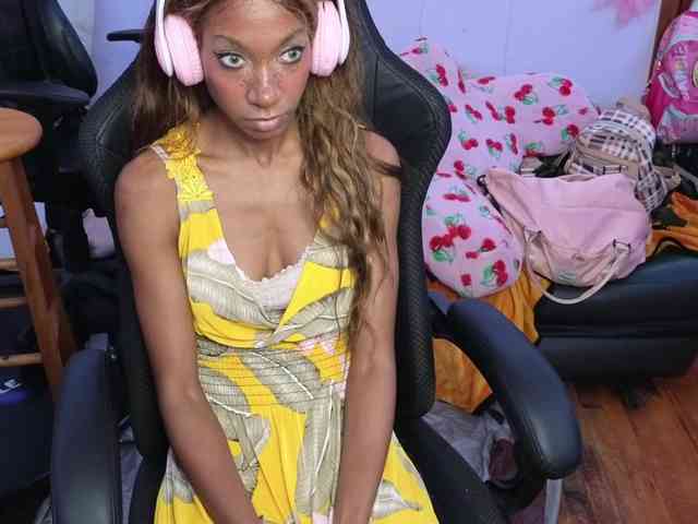 Mocha17 webcam