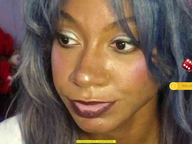 Mocha17 webcam