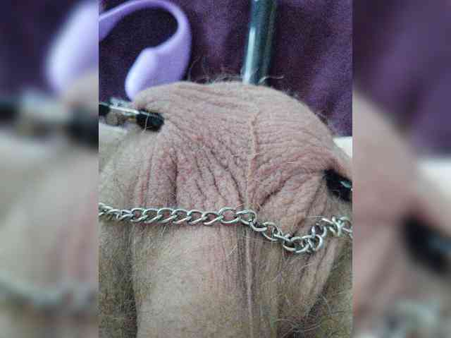 DickForUse