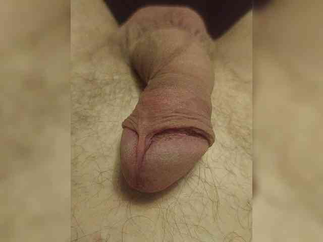 DickForUse DickForUse