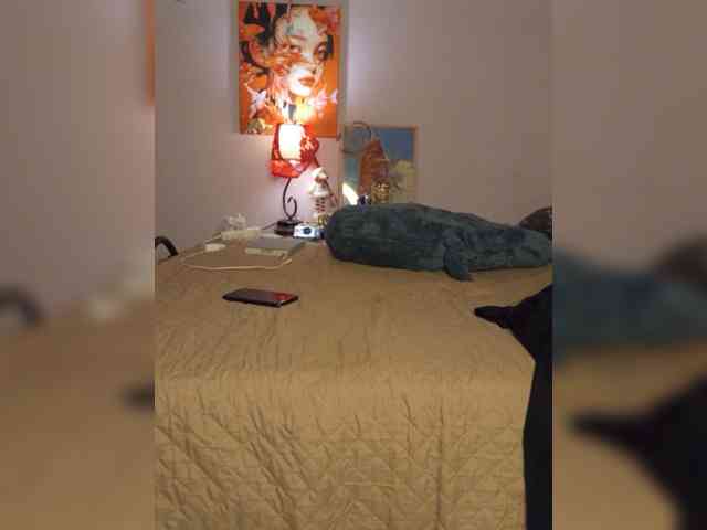 GreatKate webcam