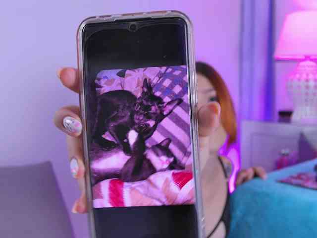 AlliciaKim webcam