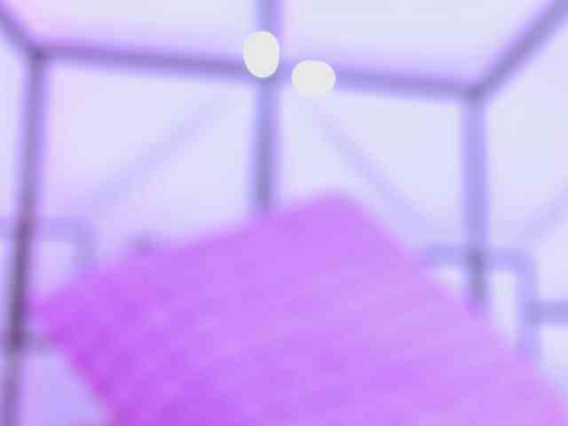 AlliciaKim