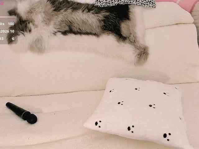 Maryellle webcam