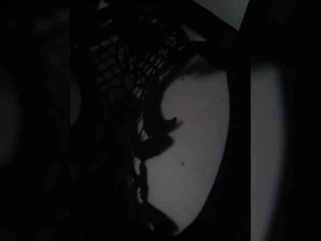 swwoman1 webcam