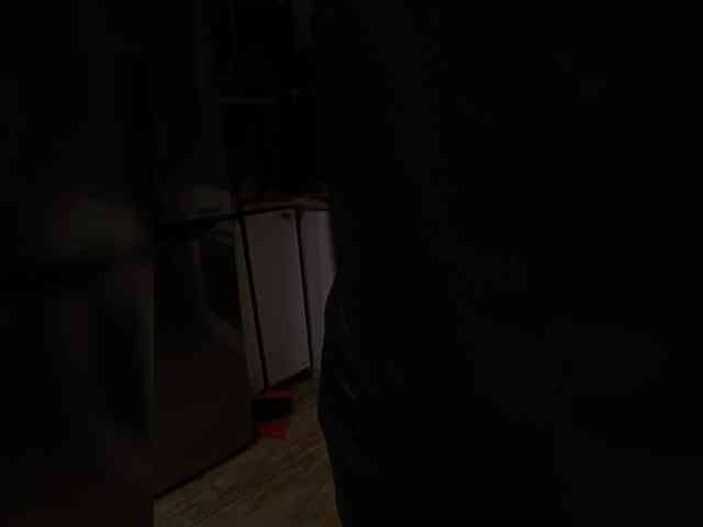 swwoman1 webcam