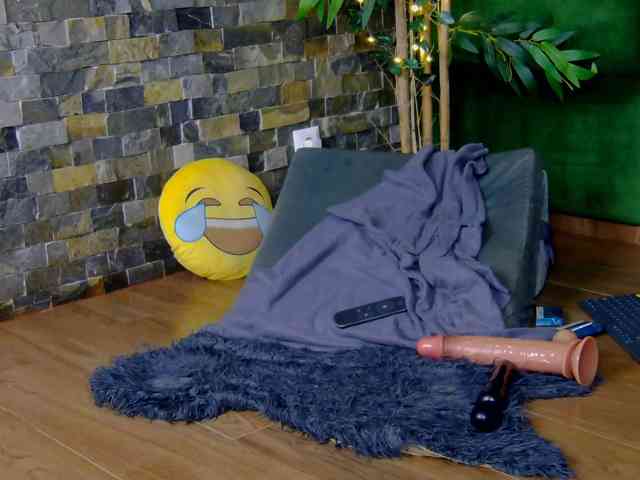 SelenSummer webcam
