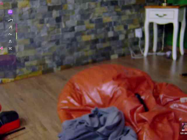 SelenSummer webcam