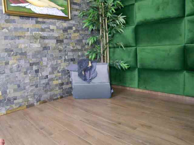 SelenSummer webcam