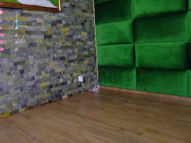 SelenSummer webcam