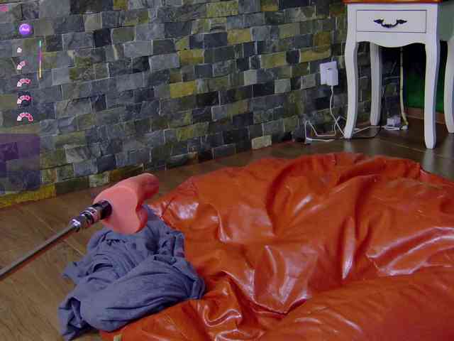SelenSummer webcam