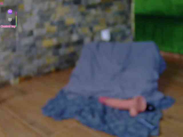 SelenSummer webcam