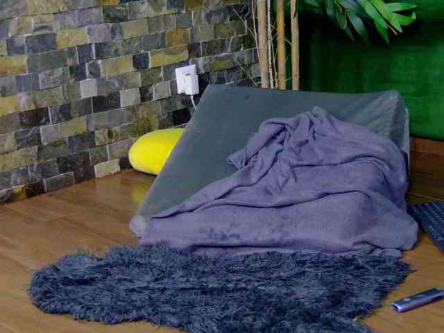 SelenSummer webcam