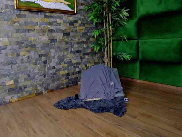 SelenSummer webcam