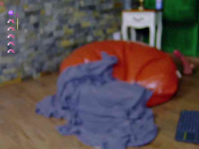SelenSummer webcam