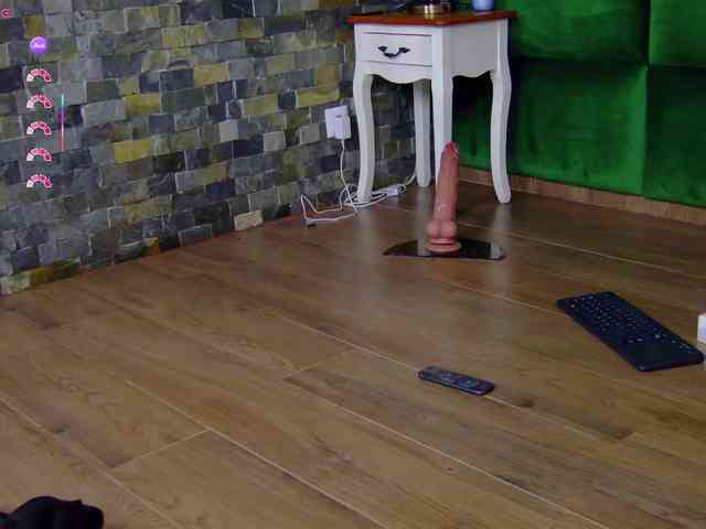 SelenSummer webcam