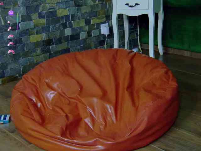 SelenSummer webcam
